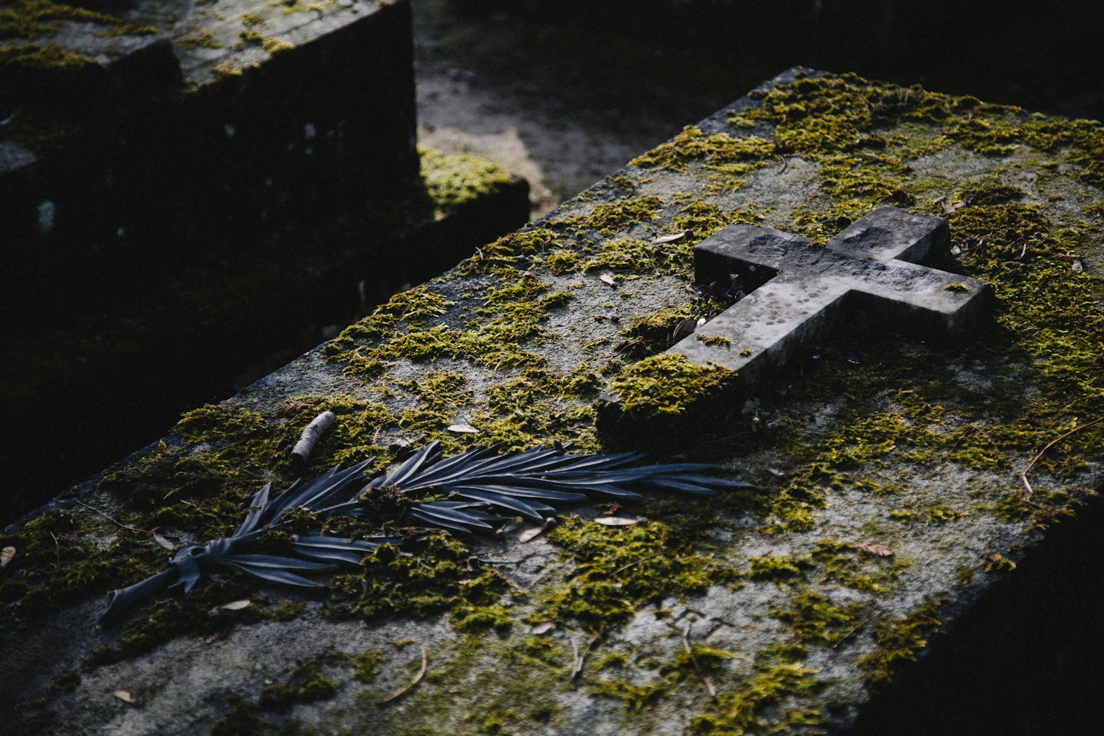 What Dreaming of Death Really Means Spiritually